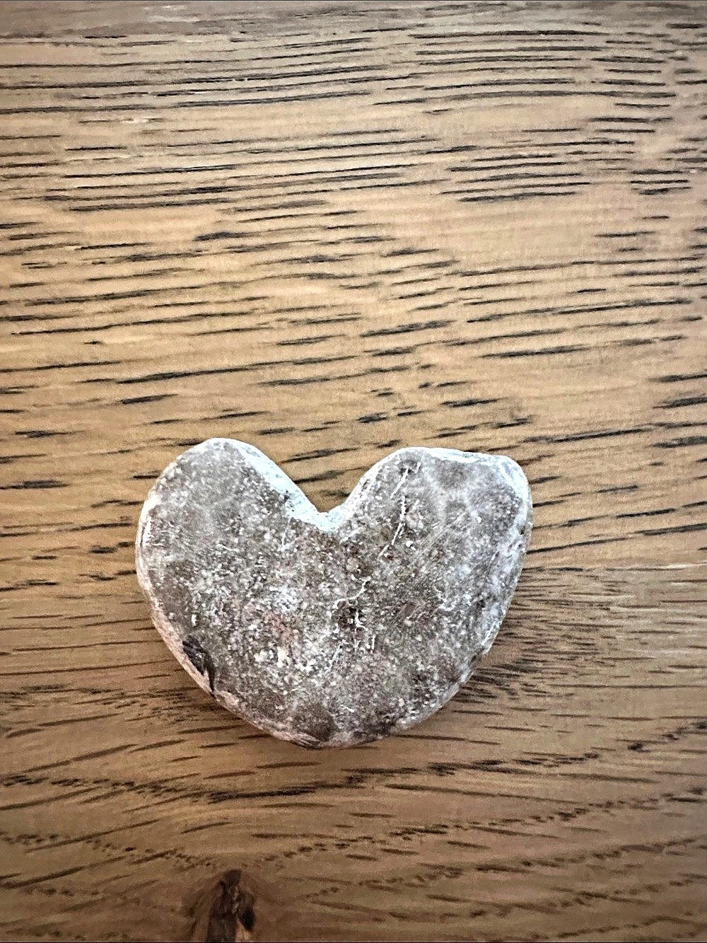 Hand-Polished Heart-Shaped Petoskey Stone Fossil Keepsake